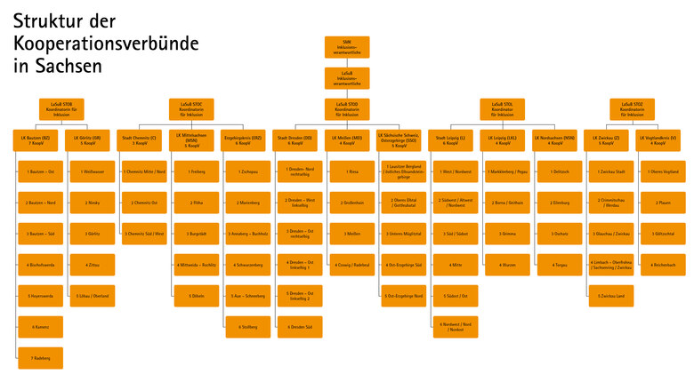 Darstellung der Struktur der Kooperationsverbünde in Sachsen