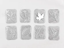 Durchsichtige Kunststoffplatten mit Reliefs von Blättern verschiedener Laubbäume liegen nebeneinander.
